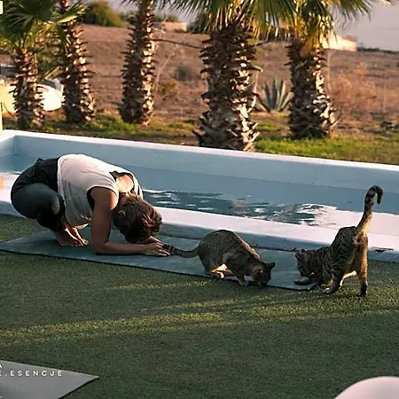Adeje - Twinfin & Surf Yoga Camp Szálloda